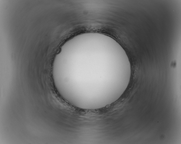 X0000111431153200907271059