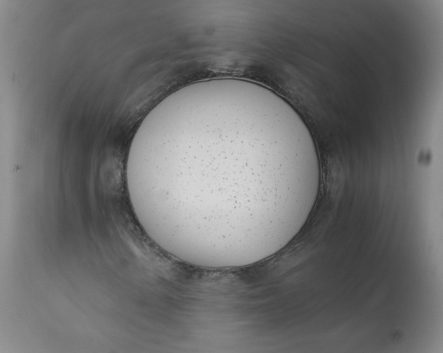 X0000111431154200907271059