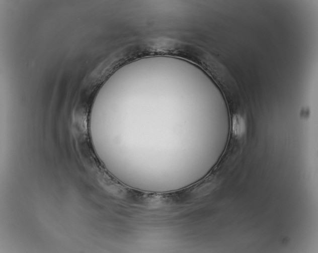 X0000111431155200907271059