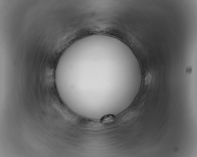 X0000111431156200907271059