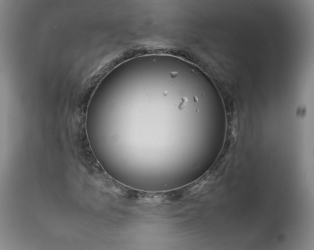 X0000111431157200907271058