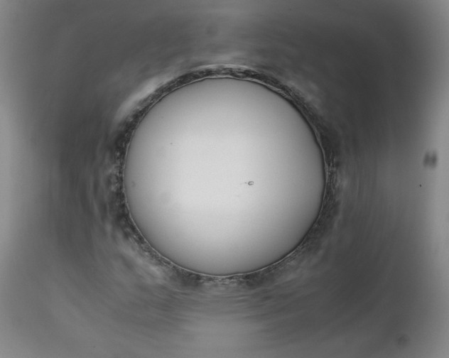 X0000111431159200907271058