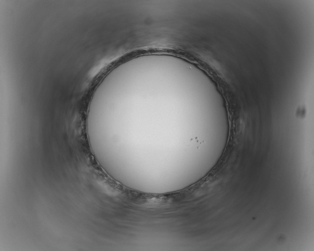 X0000111431160200907271058