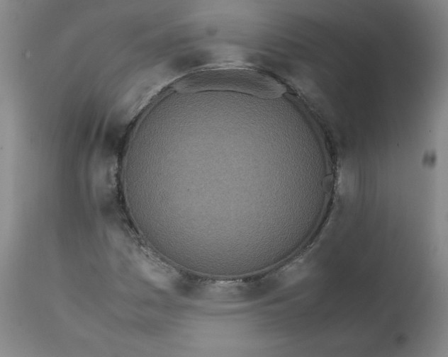 X0000111431161200907271058