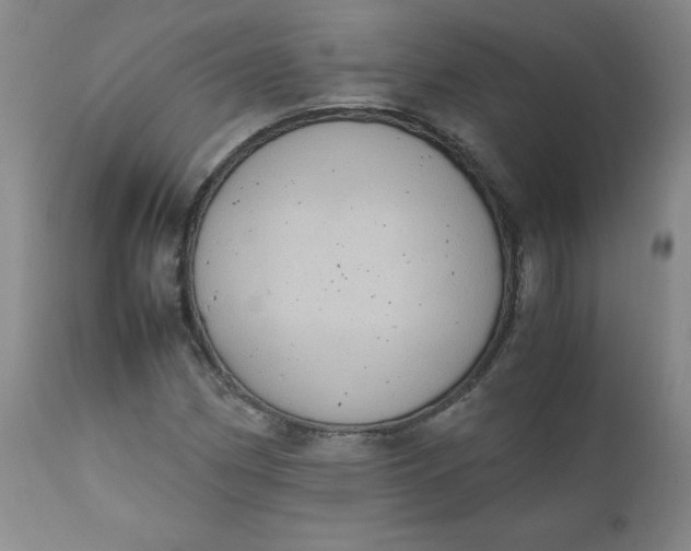 X0000111431162200907271058