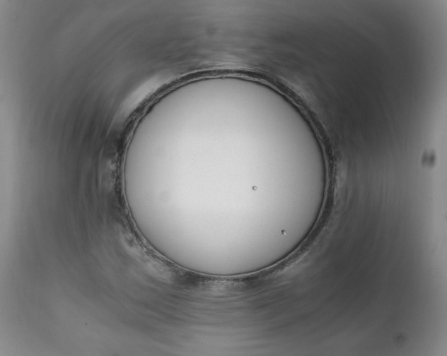 X0000111431163200907271058