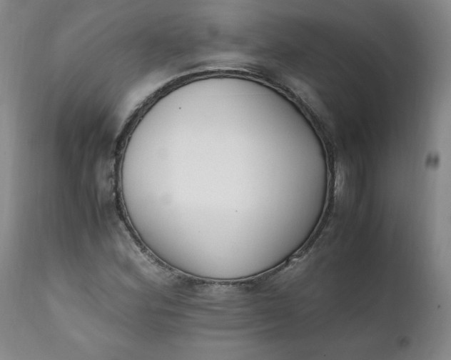 X0000111431164200907271058