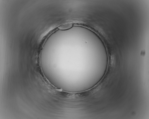 X0000111431165200907271058