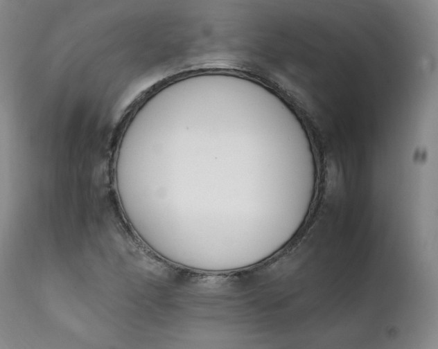 X0000111431166200907271058