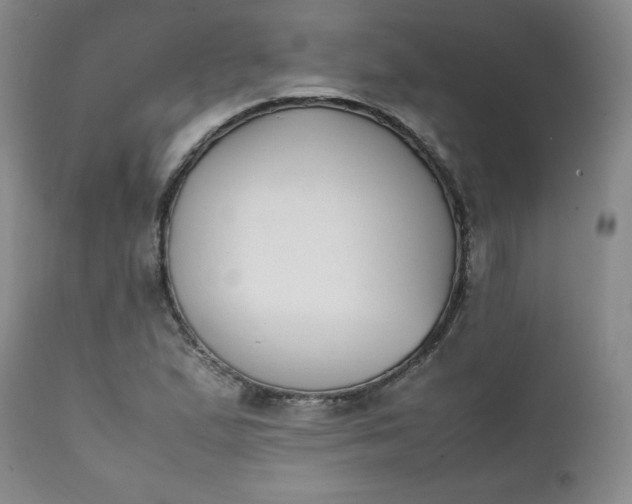 X0000111431167200907271058