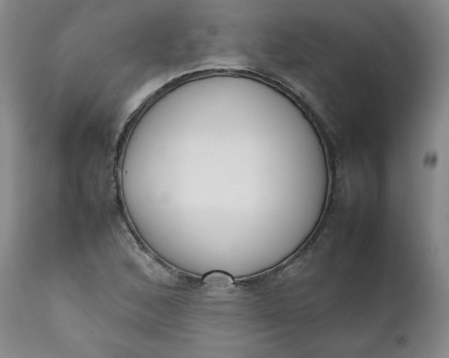 X0000111431168200907271058