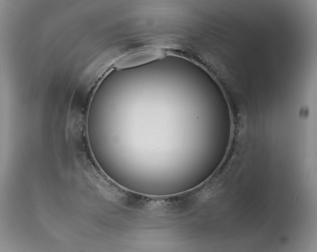 X0000111431169200907271058