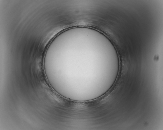 X0000111431170200907271058