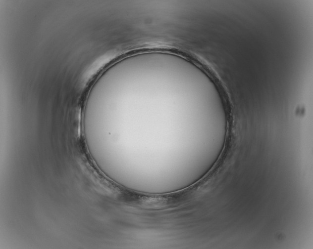 X0000111431171200907271058