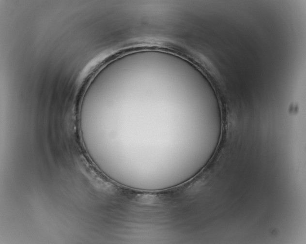 X0000111431172200907271058