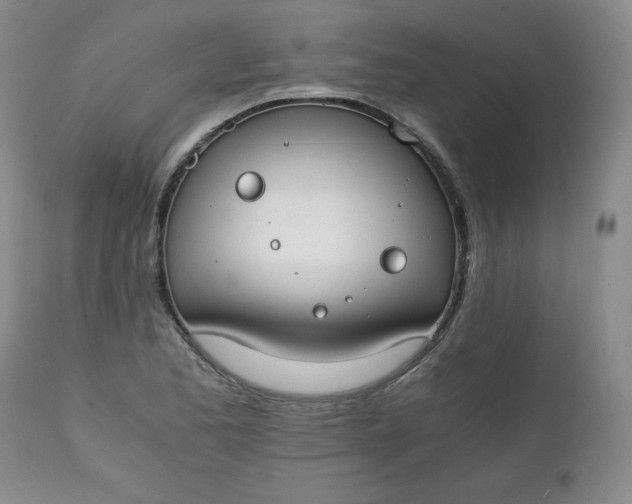 X0000111431173200907271058