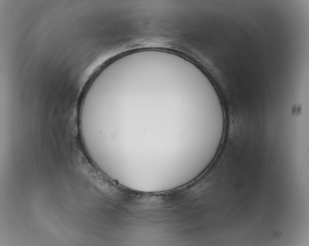 X0000111431174200907271058