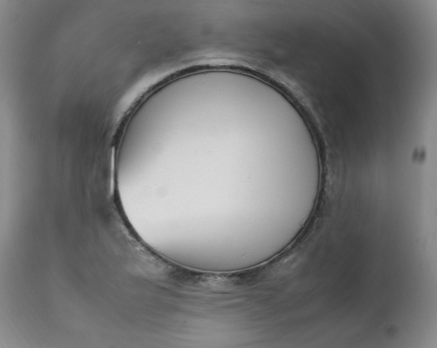 X0000111431175200907271058