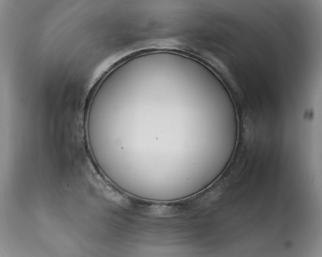 X0000111431176200907271058