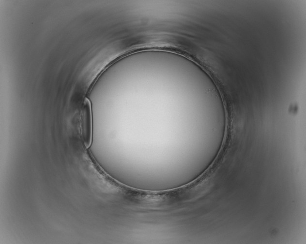 X0000111431177200907271058