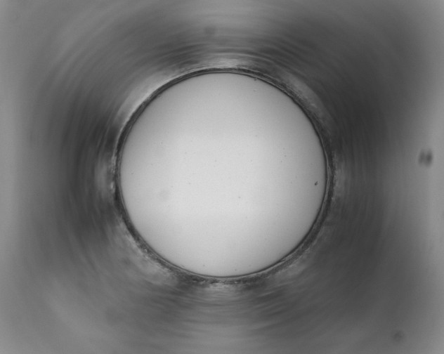 X0000111431178200907271058