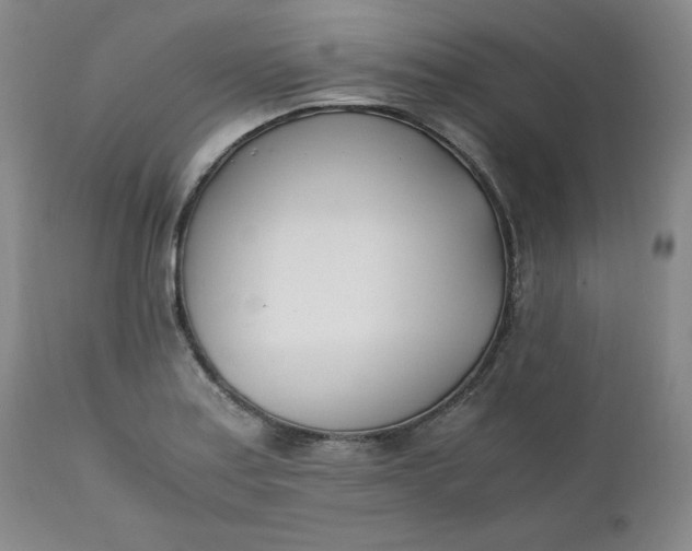 X0000111431179200907271058