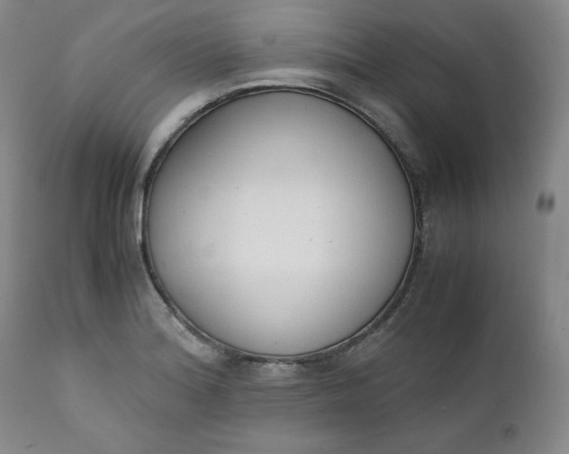 X0000111431180200907271058