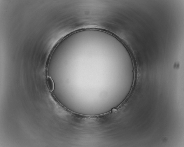 X0000111431181200907271058