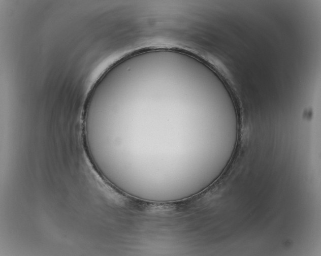 X0000111431183200907271058