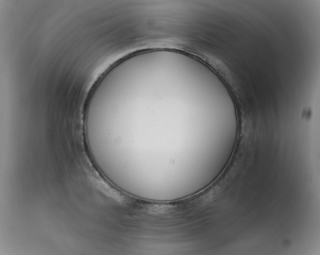 X0000111431184200907271058