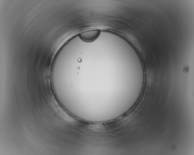 X0000111431186200907271058