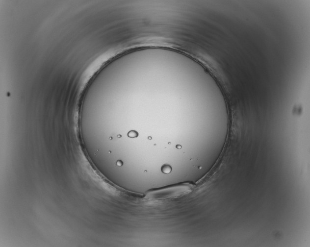 X0000111431188200907271058