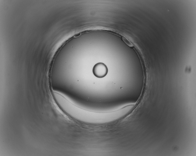 X0000111431189200907271058