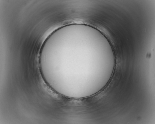 X0000111431190200907271058