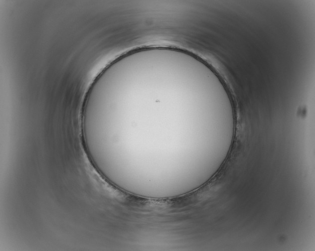 X0000111431191200907271058