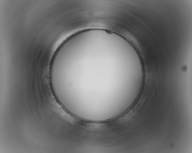 X0000111431192200907271058