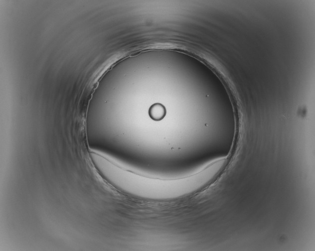 X0000111431193200907271058