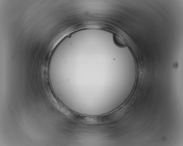 X0000111431194200907271058