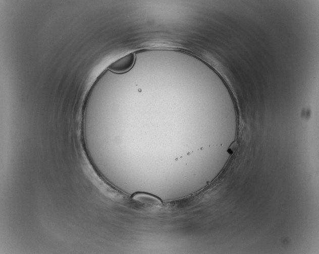 X0000111431195200907271058