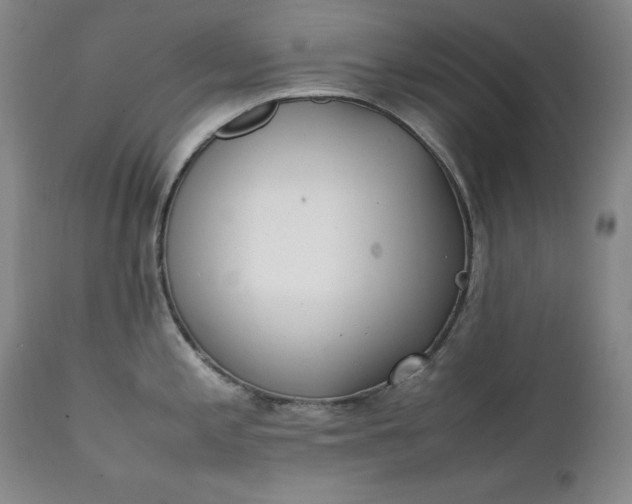 X0000111431197200907271058