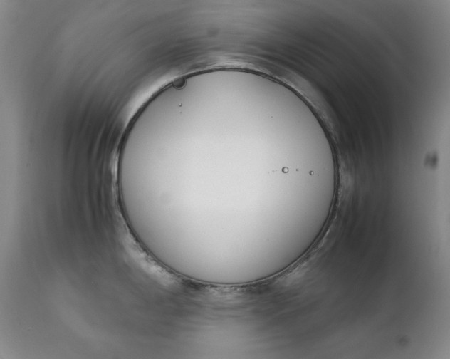 X0000111431198200907271058