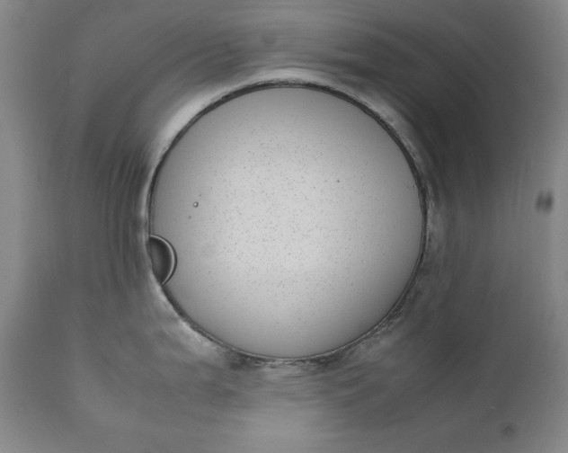 X0000111431199200907271058