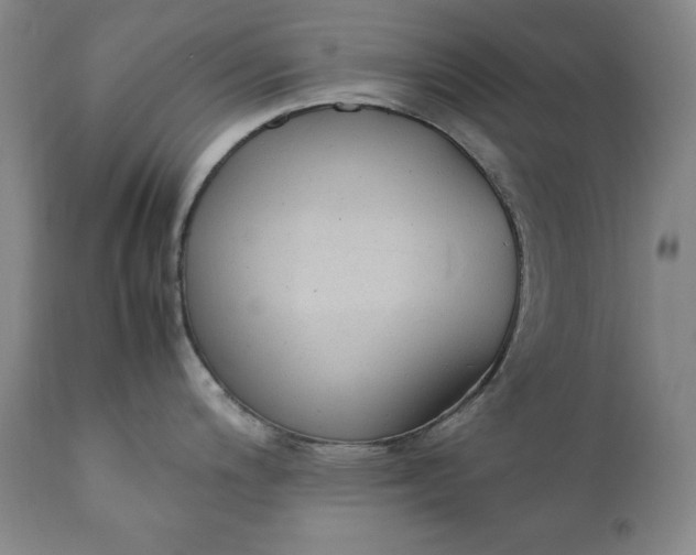 X0000111431200200907271058