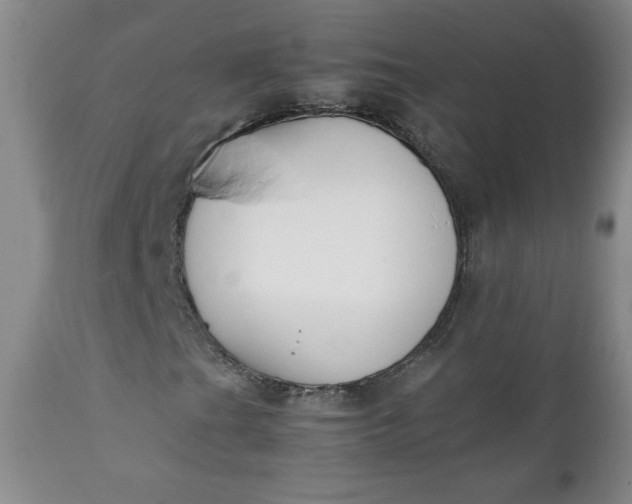 X0000111431201200907271057