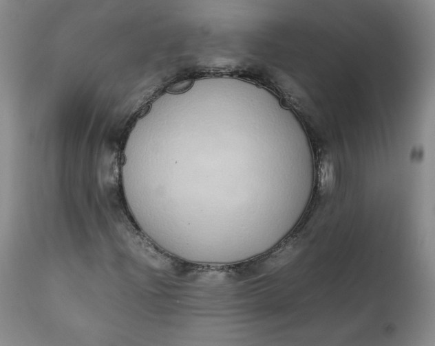 X0000111431204200907271057