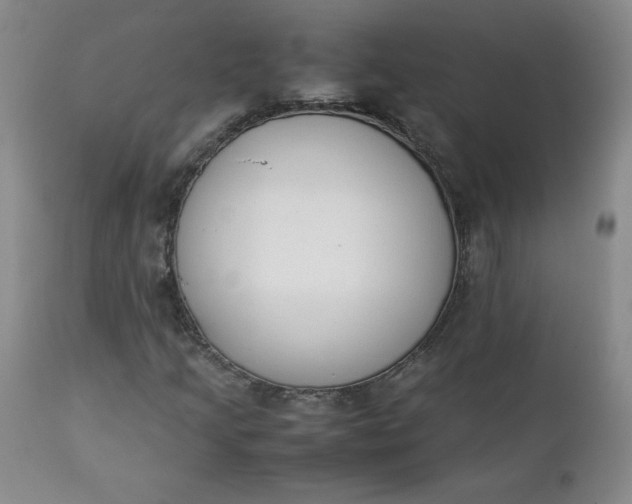 X0000111431205200907271057