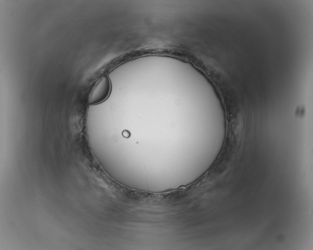 X0000111431206200907271057