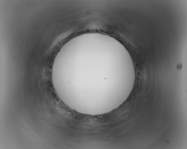 X0000111431207200907271057