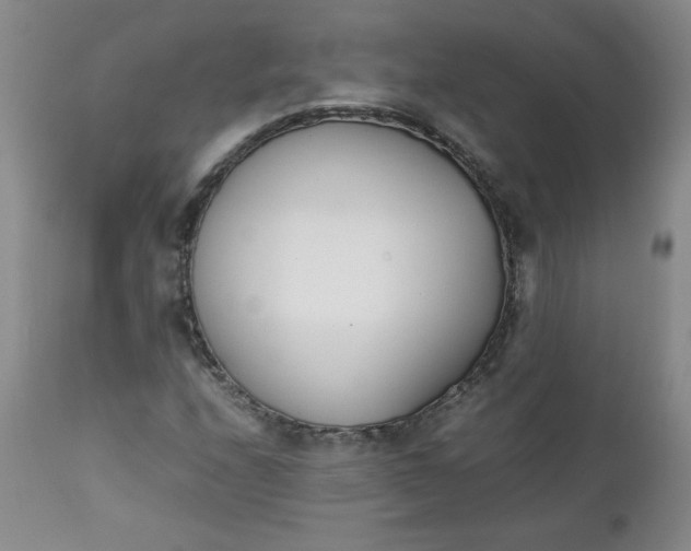 X0000111431208200907271057