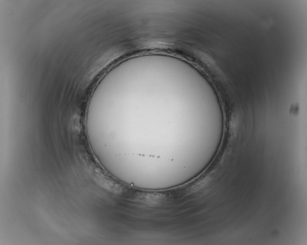 X0000111431209200907271057